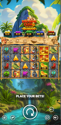 Mobile App Preview