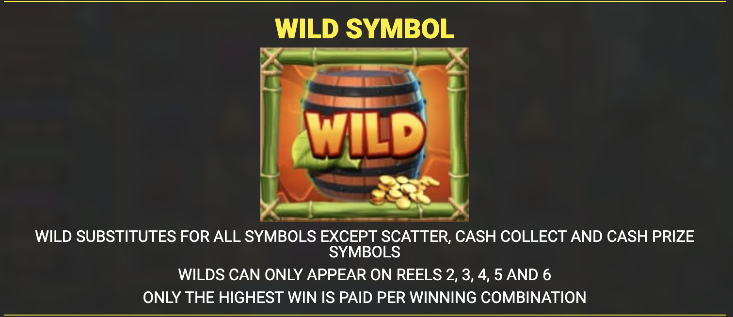 Wild Symbol